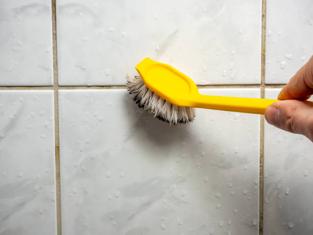 Best Mold Removal and Inspection  in Selmer, TN
